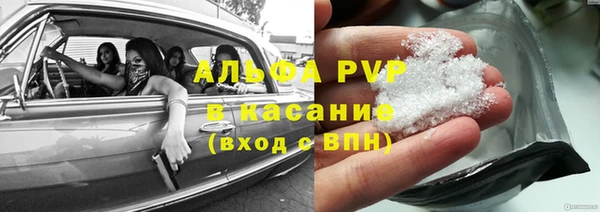 молекула духа Кинешма