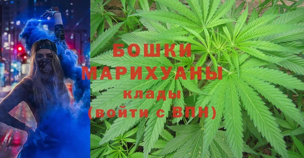 молекула духа Кинешма