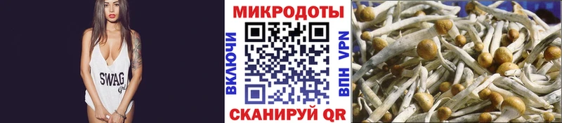 Купить закладки  Томск  Псилоцибиновые грибы мицелий 